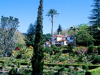 Die Palheiro- Gärten, besser bekannt unter dem Namen Blandy's Garden auf einer Höhe von 600 m – das Herrenhaus des britischen Weinhändlers Blandy ist für die Öffentlichkeit nicht zugänglich. : Palmen, Zypresse, blühende Mandeln
